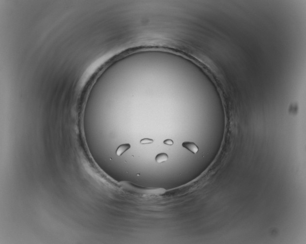 X0000114011120200910021335