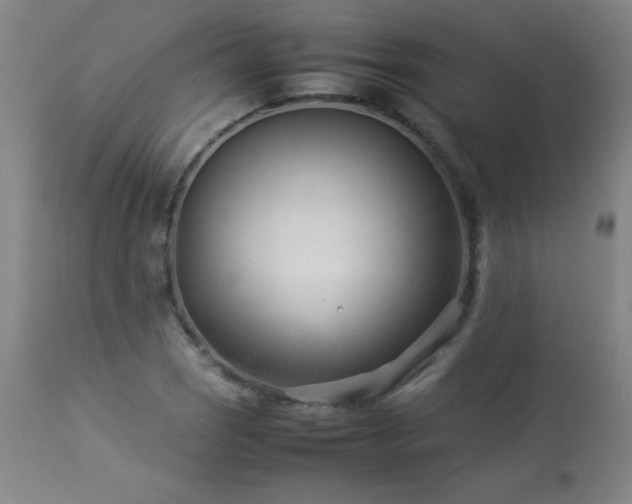 X0000114011121200910021335