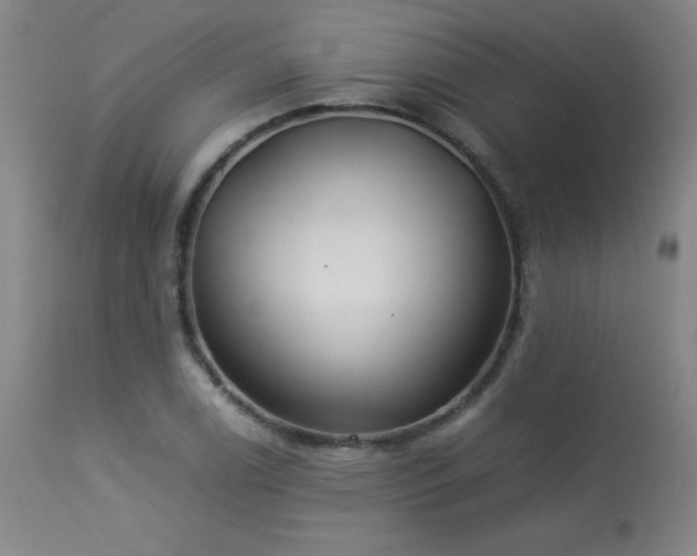 X0000114011122200910021335
