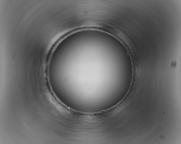 X0000114011124200910021335