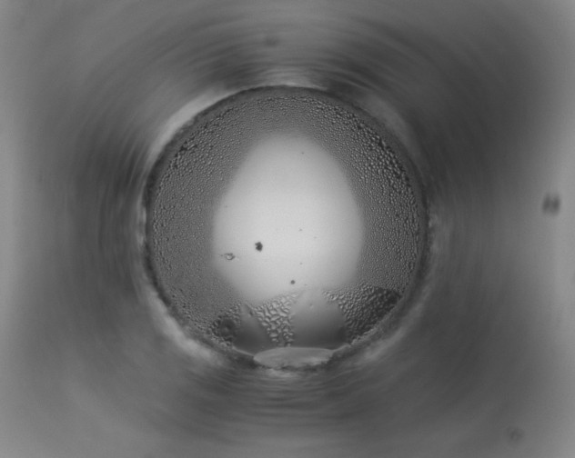 X0000114011125200910021335