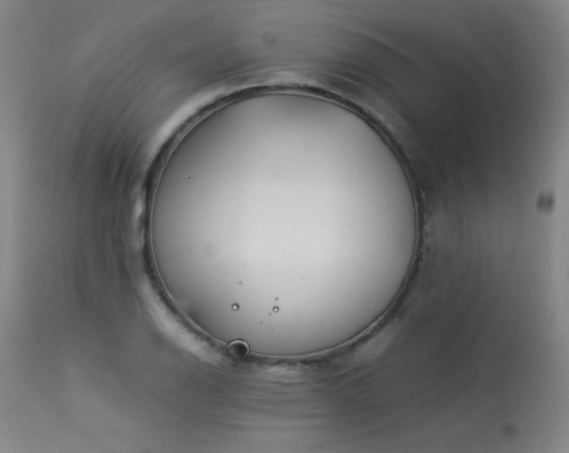 X0000114011126200910021335