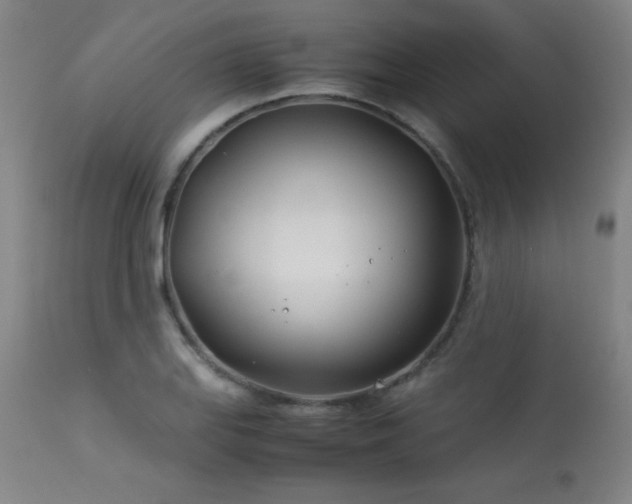 X0000114011127200910021335