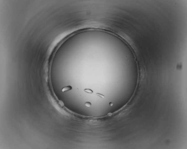 X0000114011128200910021335