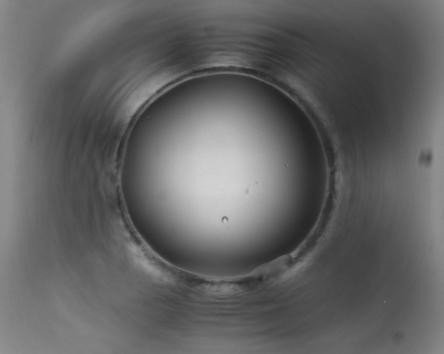 X0000114011129200910021335