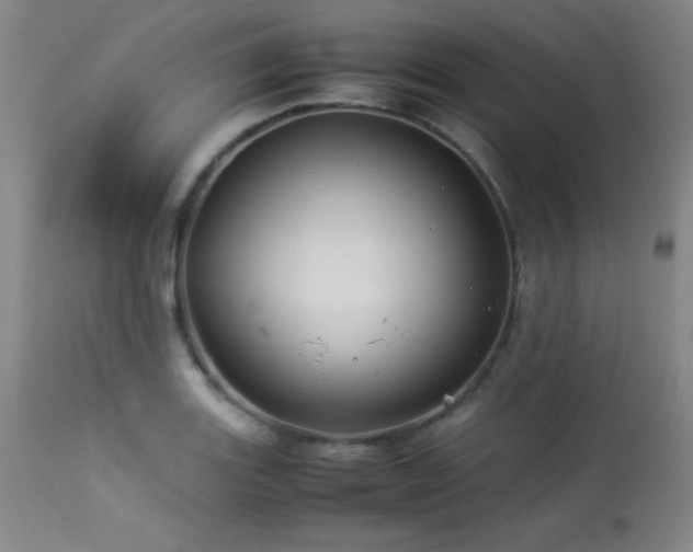 X0000114011131200910021335