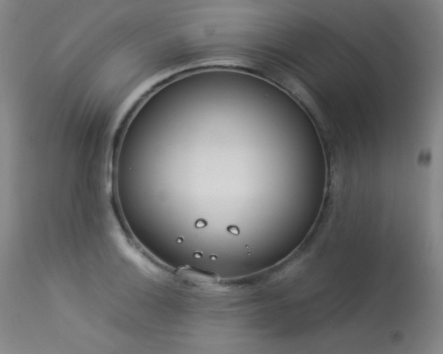 X0000114011132200910021335