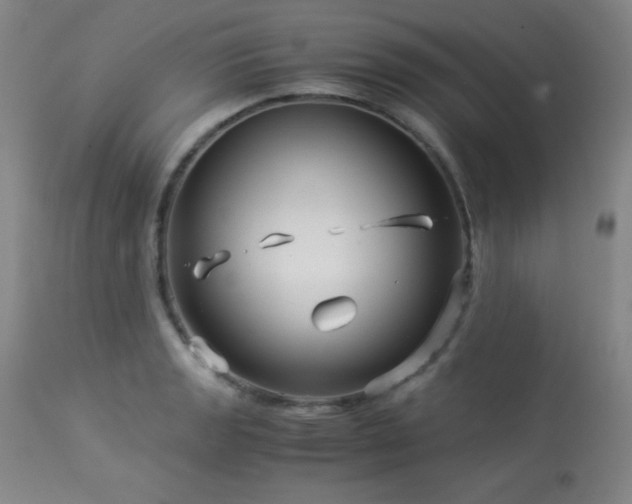 X0000114011133200910021335