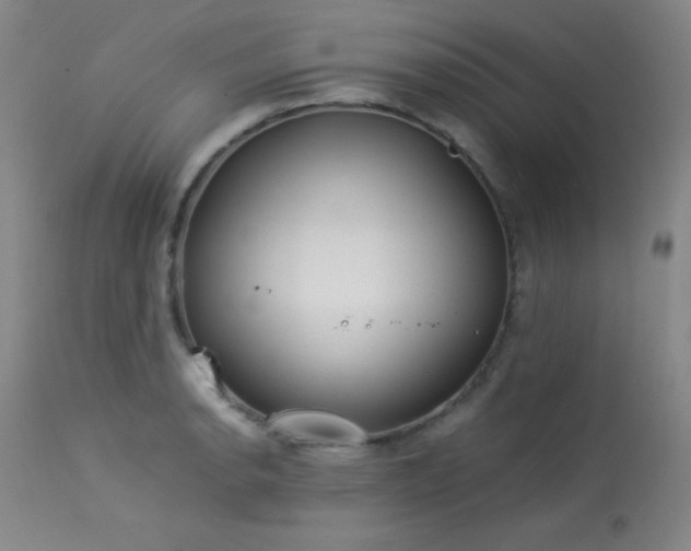 X0000114011134200910021335