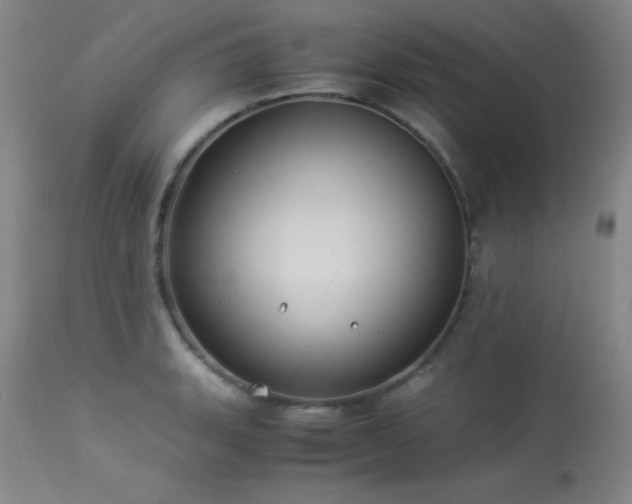 X0000114011135200910021335
