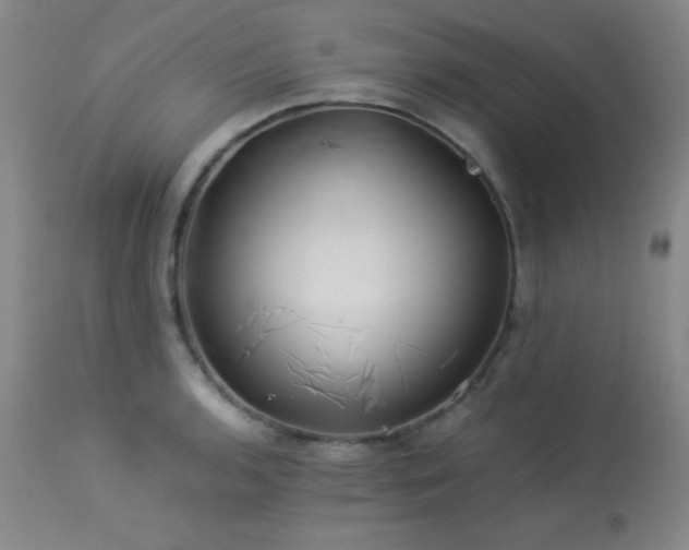 X0000114011136200910021335