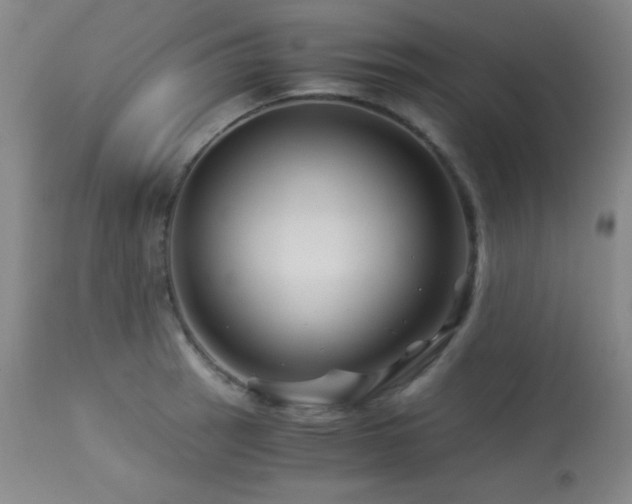 X0000114011137200910021335