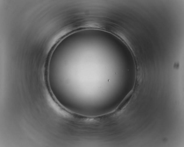 X0000114011139200910021335