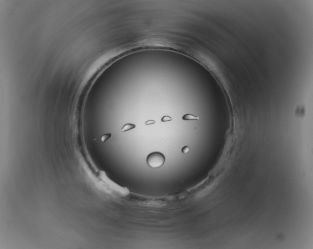 X0000114011141200910021335