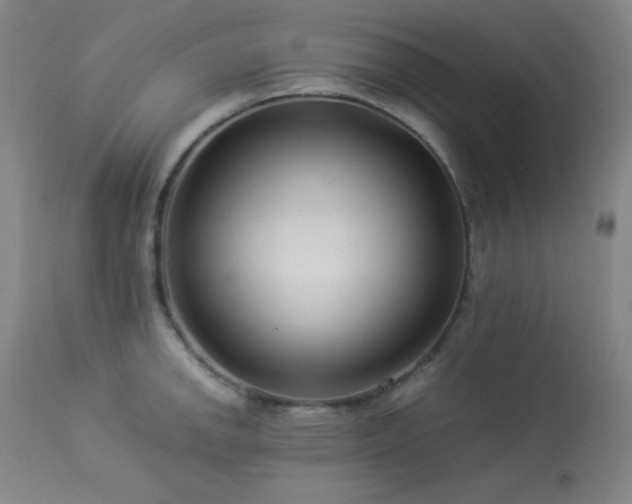 X0000114011142200910021335