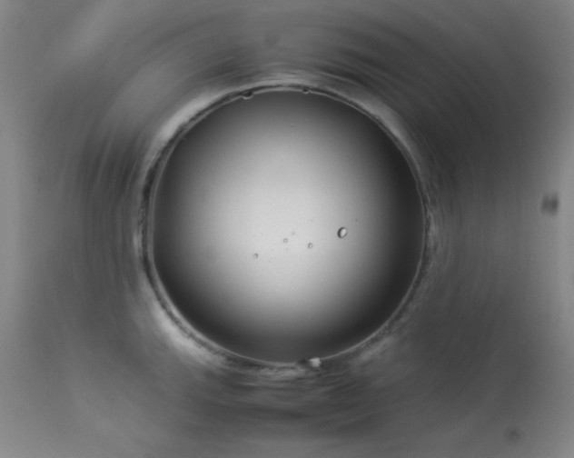 X0000114011143200910021335