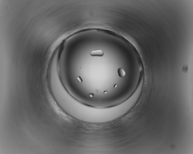 X0000114011144200910021335