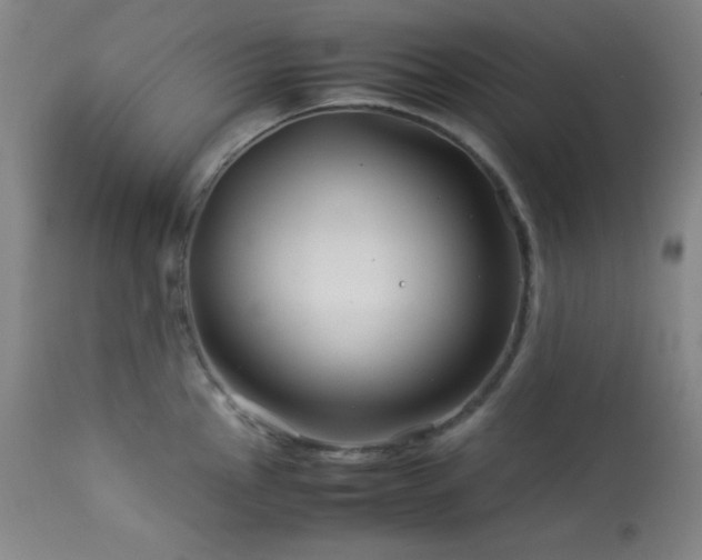 X0000114011145200910021335