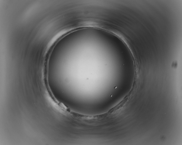 X0000114011147200910021335