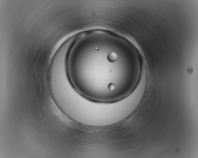 X0000114011148200910021335
