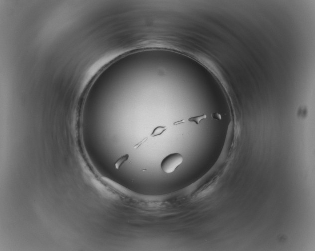 X0000114011149200910021335