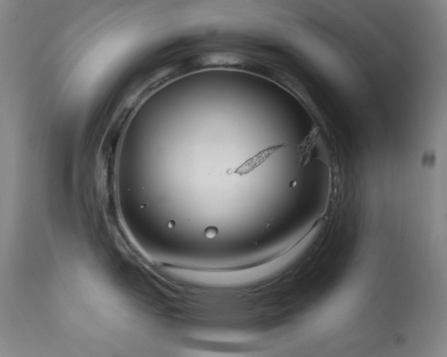 X0000114011151200910021335