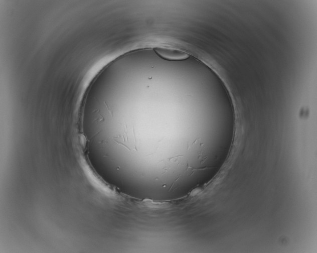 X0000114011152200910021335