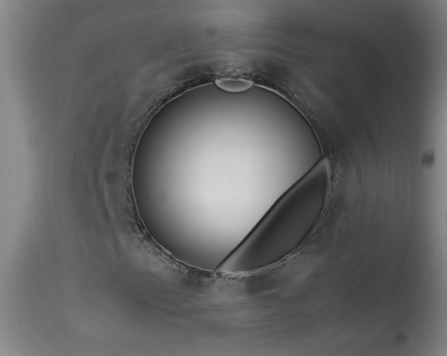 X0000114011153200910021334