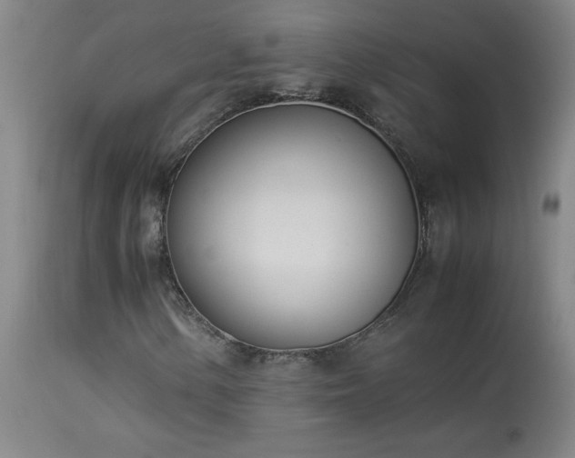 X0000114011154200910021334