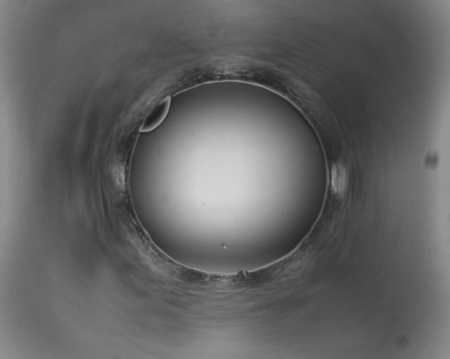 X0000114011155200910021334