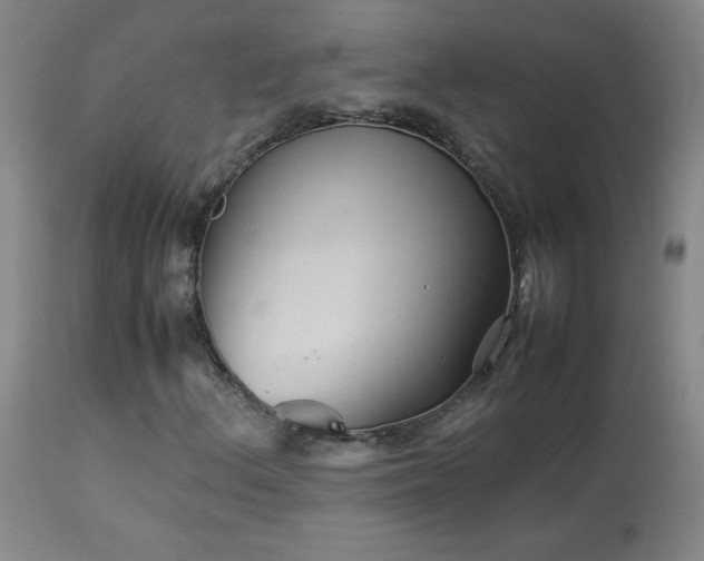 X0000114011156200910021334