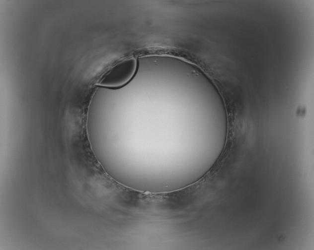 X0000114011157200910021334