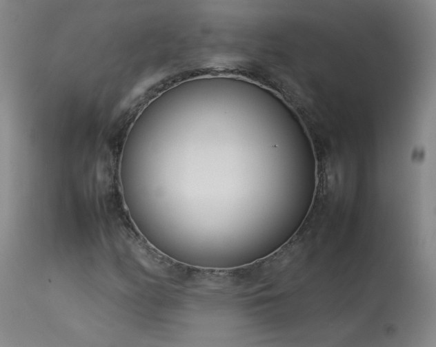 X0000114011158200910021334