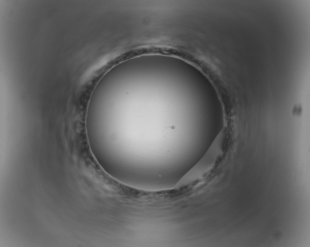 X0000114011159200910021334