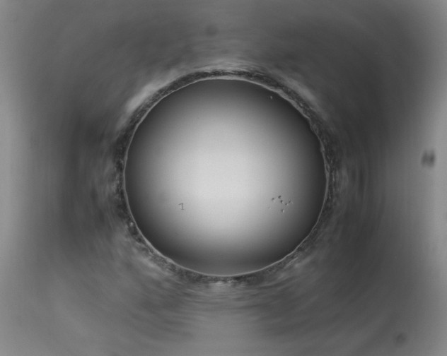 X0000114011160200910021334