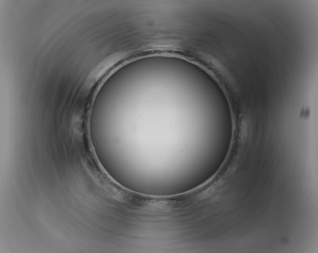 X0000114011162200910021334