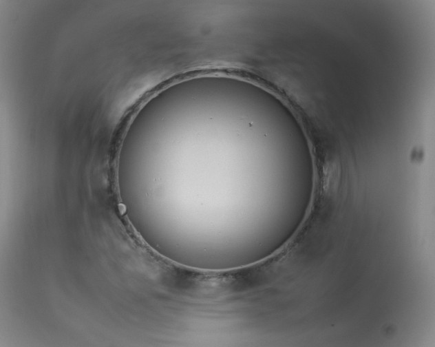 X0000114011165200910021334