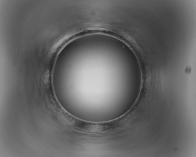 X0000114011167200910021334