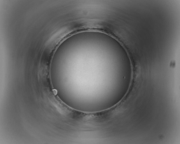 X0000114011169200910021334