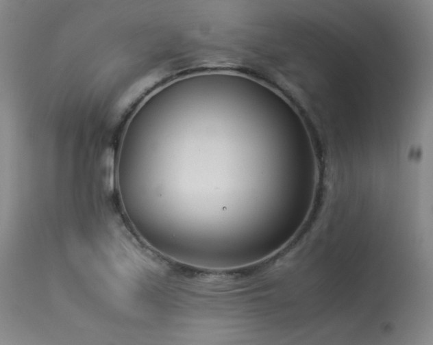 X0000114011171200910021334