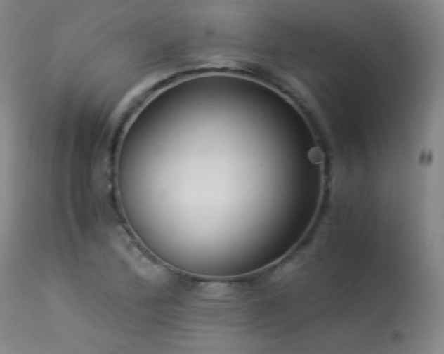X0000114011172200910021334