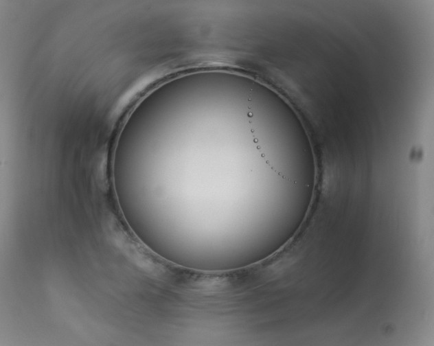 X0000114011174200910021334