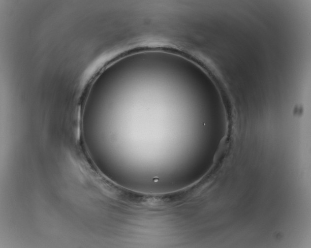 X0000114011175200910021334