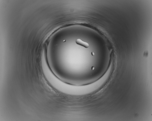 X0000114011177200910021334