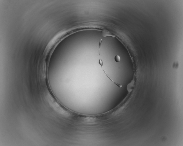 X0000114011180200910021334
