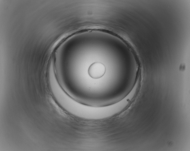 X0000114011181200910021334