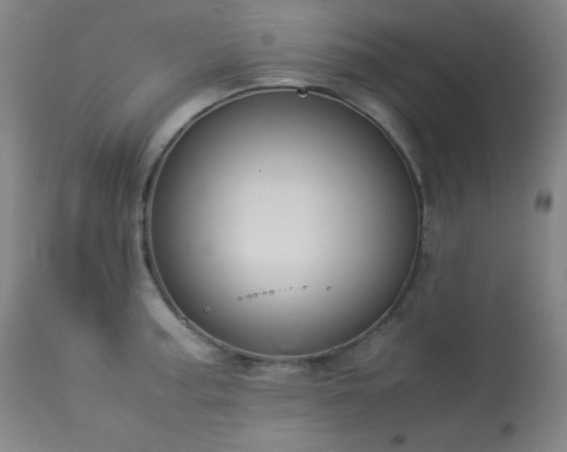 X0000114011187200910021334