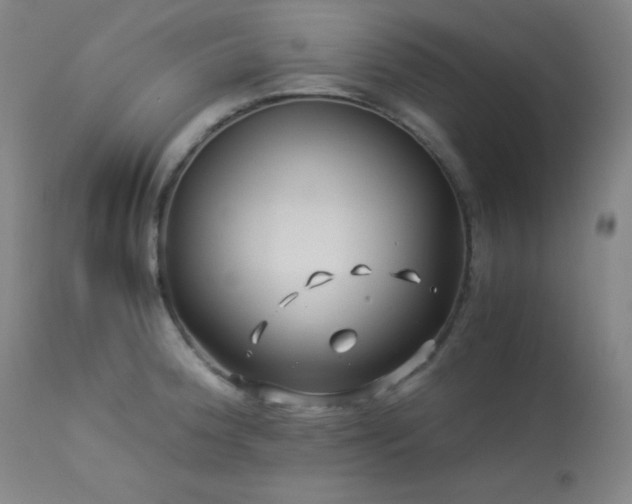 X0000114011188200910021334