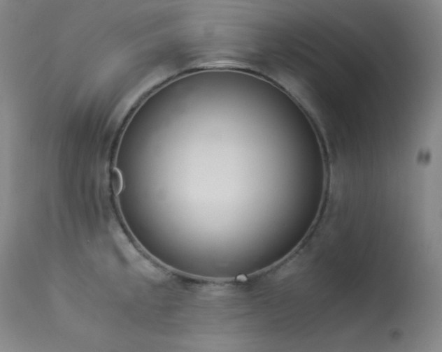X0000114011189200910021334