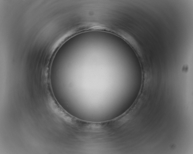 X0000114011190200910021334